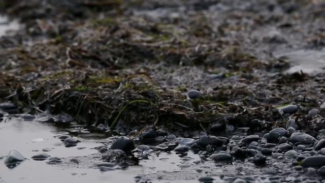 Nature’s Harsh Truths in Outer Wilds and Rain World смотреть онлайн