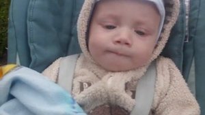 Агукаем вовсю