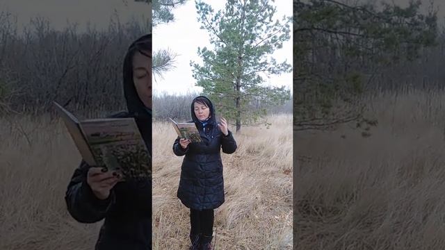 Стихи про осень/ Стихи про море /Осень над морем