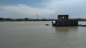 Река Терек. Станица Наурская.