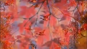 Нам казалось бесконечно будет лето.......Виктор Иванов.