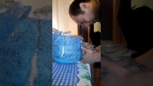 Вешенка в квартире