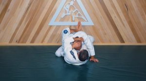 Principle 12: Reconnaissance (The 32 Principles of Jiu-Jitsu)