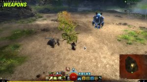 Guild Wars 2: Druid PvE Guide