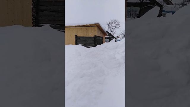 Дача, зима, много снега 2022 г. смотреть онлайн