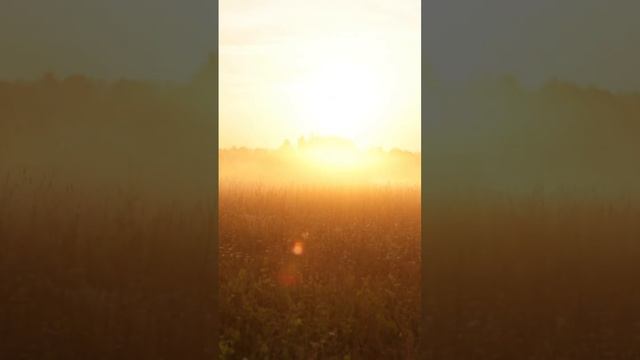 Рилс на рассвете #shorts #short #love #videography #sunrise