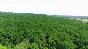 Два участка в пос. Синегорск Абинский район Краснодарский край