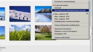 Управление настройками веб-альбомов Google Picasa (17/20)