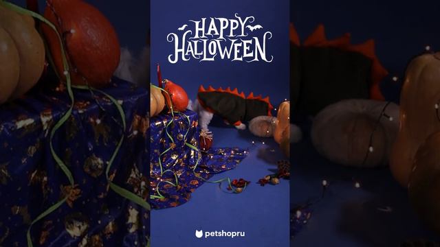 Костюмы для собак на Halloween 🎃