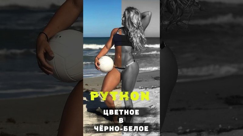 Как сделать фотографию черно-белой с помощью Python #shorts