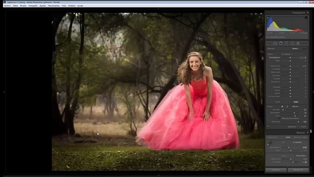 Tutorial Lightroom 5 EN ESPAÑOL смотреть онлайн
