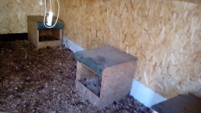 Построили теплый утятник. Утки счастливы! смотреть онлайн