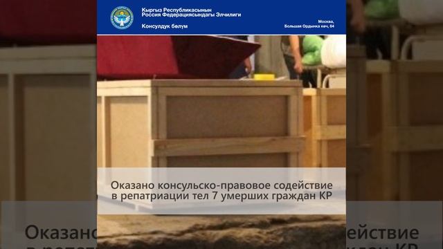 О работе Посольства Кыргызской Республики в Российской Федерации за февраль 2023 года смотреть онлайн