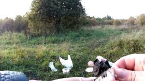 ЗАХОТЕЛА КАРАСЕЙ В СМЕТАНЕ и поехала ЗА КАРАСЯМИ! Караси на поплавочку. Рецепт КАРАСИКОВ  в сметане