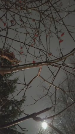 Последний день ноября
