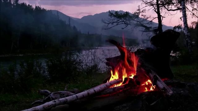 НЕЧТО ИЗ ЛЕСА. Страшные истории про деревню. Истории на ночь. Сибирь. Лес. Деревня оборотней. смотреть онлайн