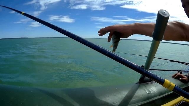 Плещеево озеро ОКУНЬ на мормышку