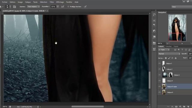 Photomaniputlation Ariel Rebel Forest смотреть онлайн