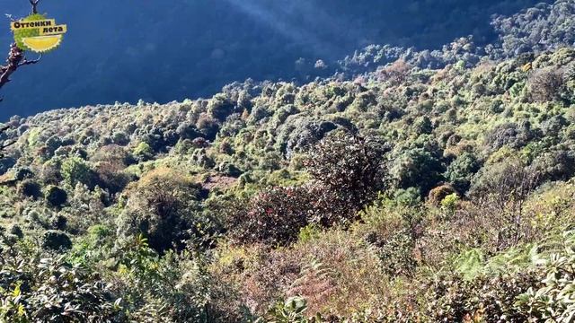 Водопады, горы, моря цветущей сакуры - невероятный национальный парк Doi Inthanon на севере Таиланд смотреть онлайн