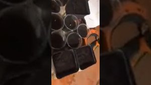 Выращивание огурцов в подвале!Эксперимент.
