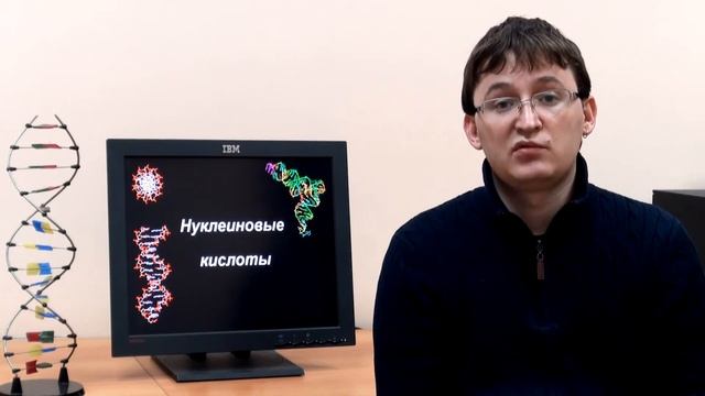 Строение нуклеиновых кислот смотреть онлайн