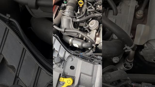 Ford ecoboost 1.0 2016 vibration