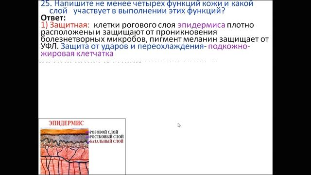 ДОСРОЧНЫЙ ЕГЭ ПО БИОЛОГИИ 2019. ЗАДАНИЯ 2 ЧАСТИ.