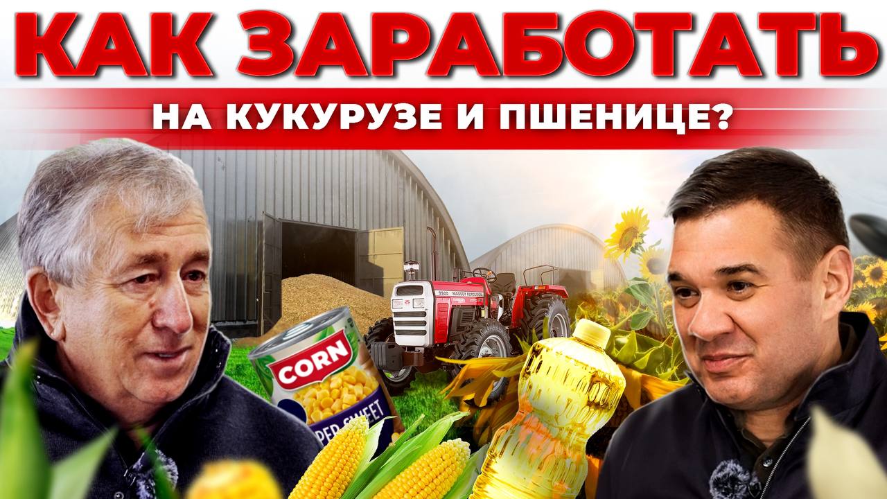 Миллионы на кукурузе | Агробизнес в КЧР | Какие культуры прибыльнее? Андрей Даниленко