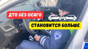 Число ДТП с водителями без ОСАГО растёт