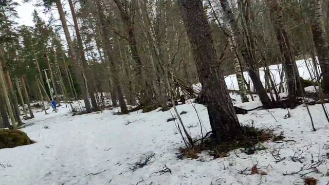 первые пыльценосы смотреть онлайн