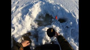 РЫБАЛКА НА ТАЕЖНОМ ОЗЕРЕ В ТОМСКОЙ ОБЛАСТИ!!!