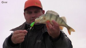 Окунь на кренки