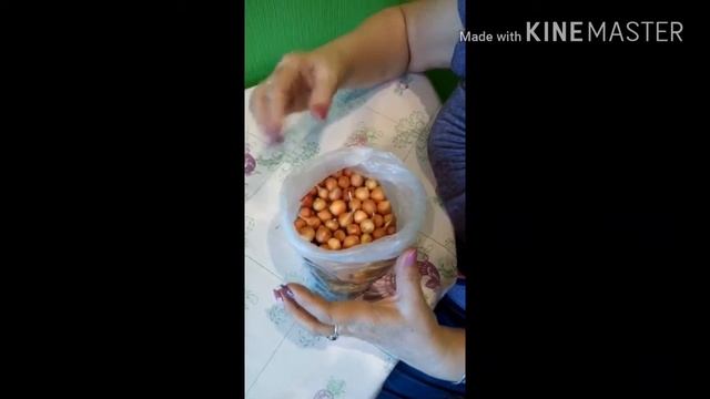 Как вырастить перья зелёного лука в домашних условиях. смотреть онлайн