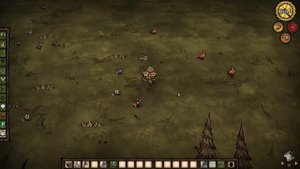 Как сажать цветы в Don't starve together