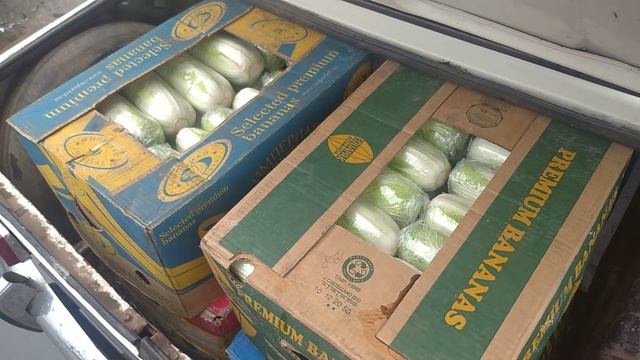 ЦЕНЫ сегодня Рынок ВЕЛИКІ КОПАНІ 6 июля.15:00 обед. смотреть онлайн