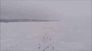 Прикормка рыбы, Воронежское водохранилище, 02.02.2023 , день третий