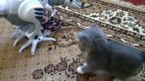 Супер игрушка робот-Динозавр. Робораптор/robot dinosaur Roboraptor/  Игры с динозаврами.