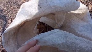 Ищем монеты, а копаем чермет с ТХ 850