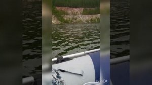 Рыбалка 28.08.2021. Новая линза.