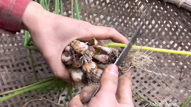 Harvest sweet potatoes, vegetables and onions to go to the market to sell смотреть онлайн