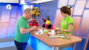 Как сделать жучка из бумаги своими руками. Капашилки | Утренний Экспресс