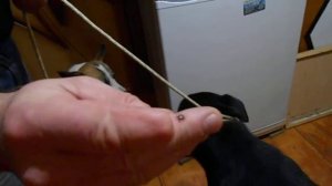 Поводок Контроллер для Собак СВОИМИ РУКАМИ