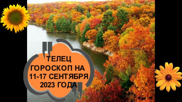 ТЕЛЕЦ ТАРО ПРОГНОЗ НА НЕДЕЛЮ С 11 ПО 17 СЕНТЯБРЯ 2023 ГОДА