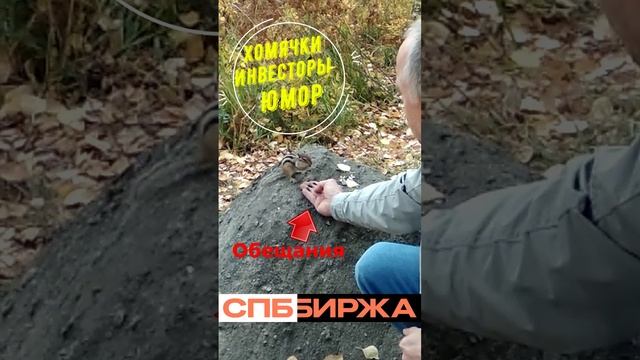 Юмор про СПБ Биржу