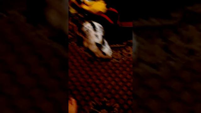 ОН СТАЛ ЗЛЫМ!!! смотреть онлайн