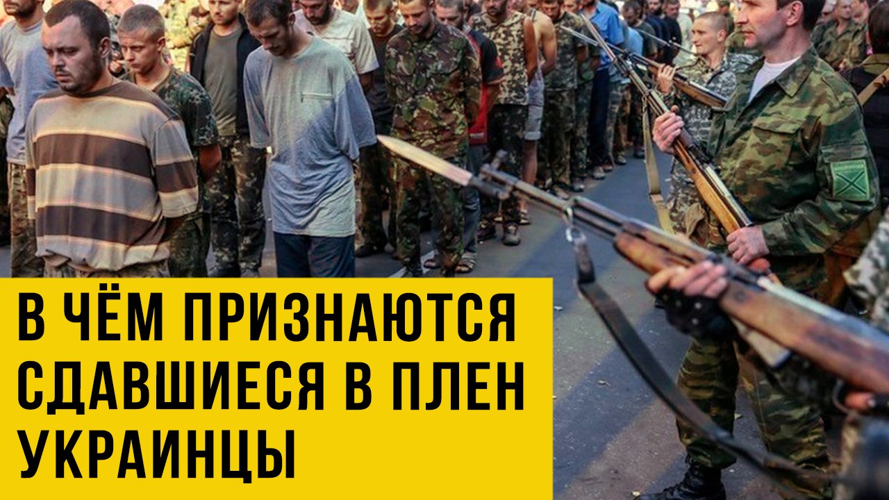 В чём признаются сдавшиеся в плен украинцы - видео. Эксклюзив!