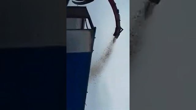 Дробим тополь на щепу смотреть онлайн