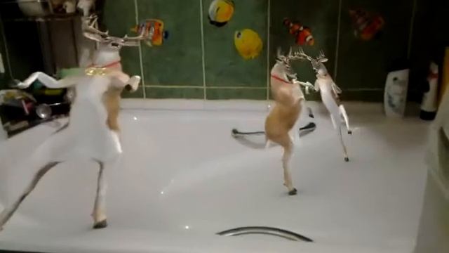 Летающий, танцующий мини олень и его команда смотреть онлайн