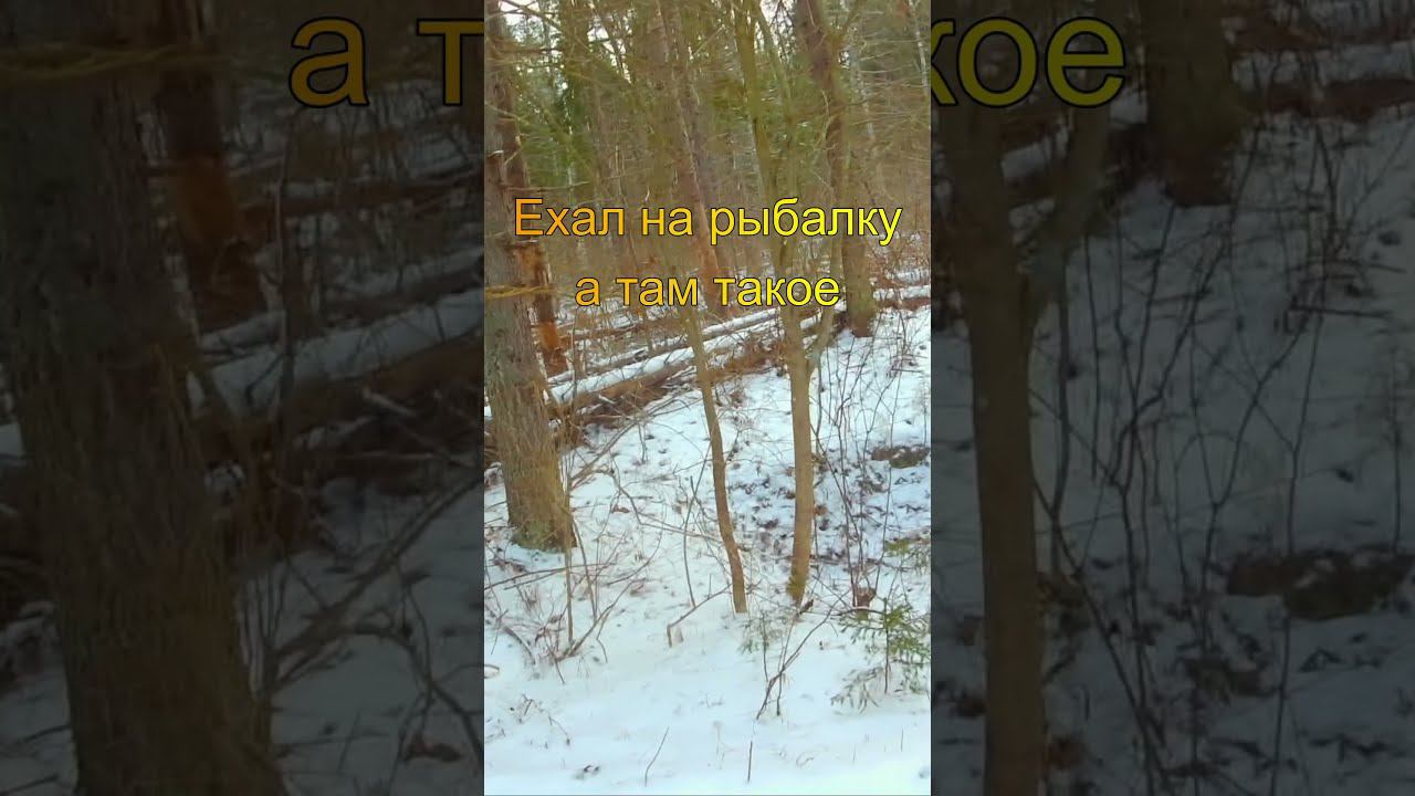 Ехал на рыбалку а там такое! #shorts смотреть онлайн