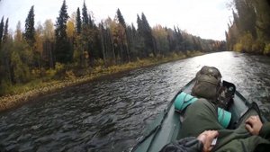 Мотор-весло SPS-2 ZS-190FE, лодка ПМ-310 . Часть 2 "Куриные устрицы".